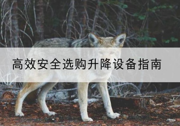 丁青升降货梯厂家推荐-*安全选购升降设备指南
