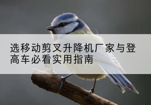 丁青电动升降机厂家-选移动剪叉升降机厂家与登高车必看实用指南