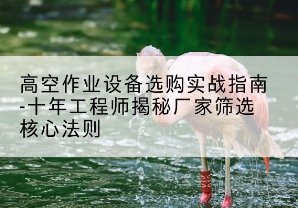 丁青剪叉式升降机厂家-高空作业设备选购实战指南-十年工程师揭秘厂家筛选核心法则